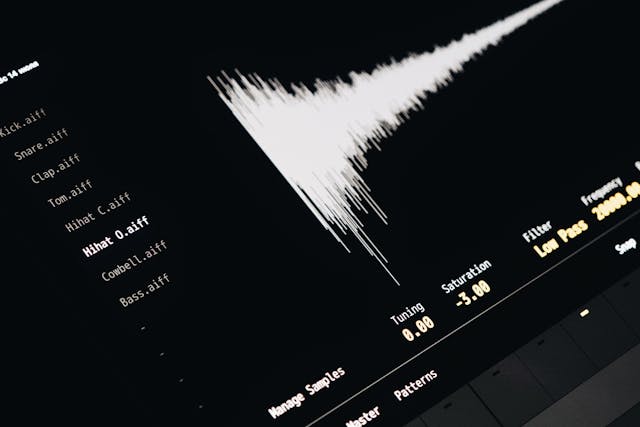 A digital sound wave shown on a computer screen against a dark background.